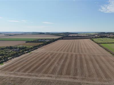 Click to view more details